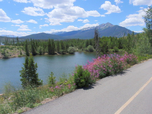 A Lake Dillon side tributary and some Fireweed.